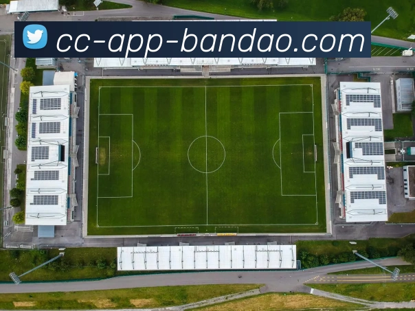 半岛体育全站App