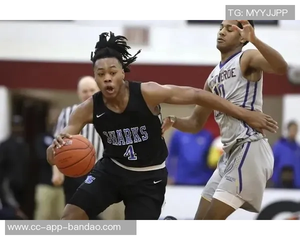 斯科蒂巴恩斯：关键时刻的完美表现助力球队逆转勇士